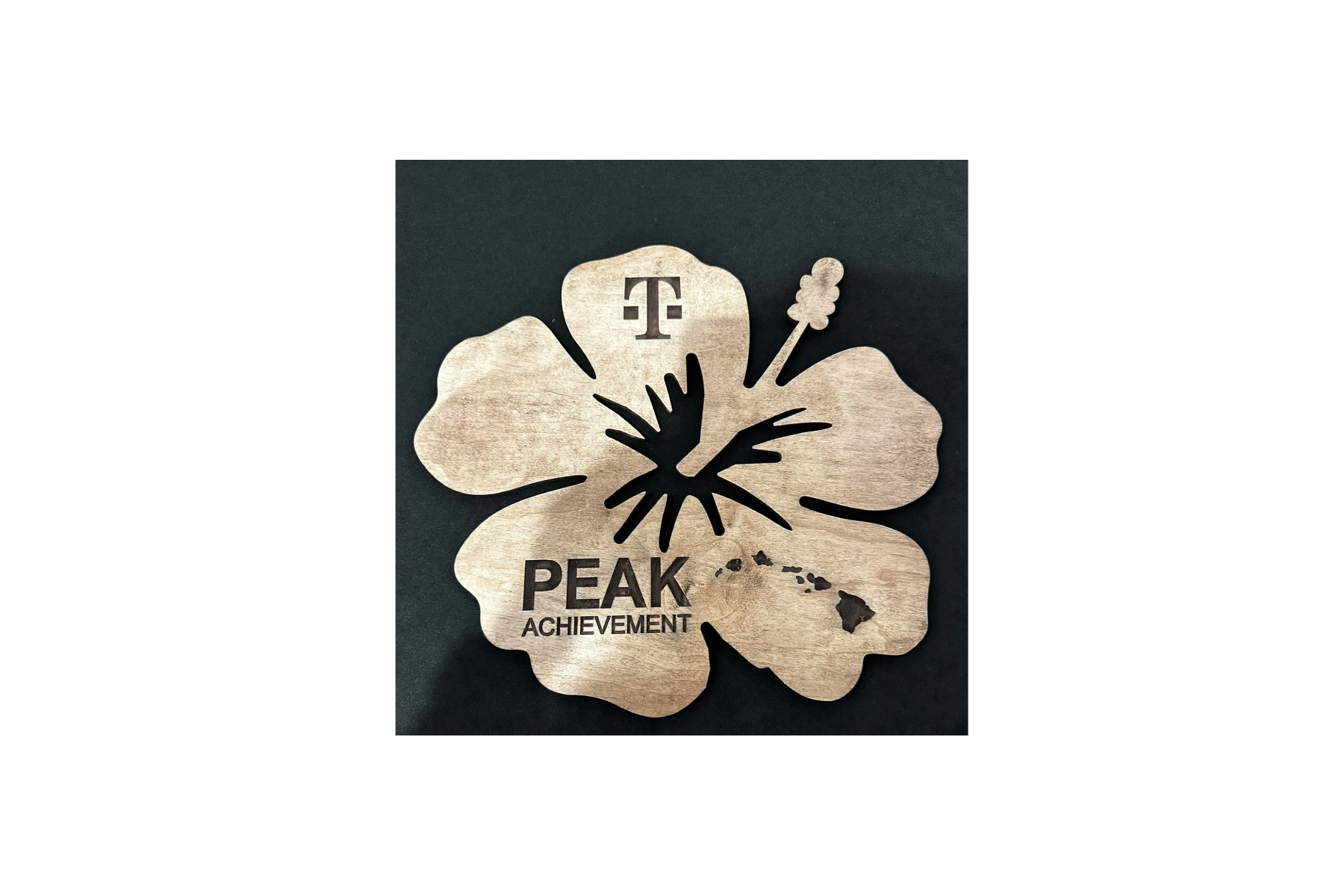 Charger Custom 2.png