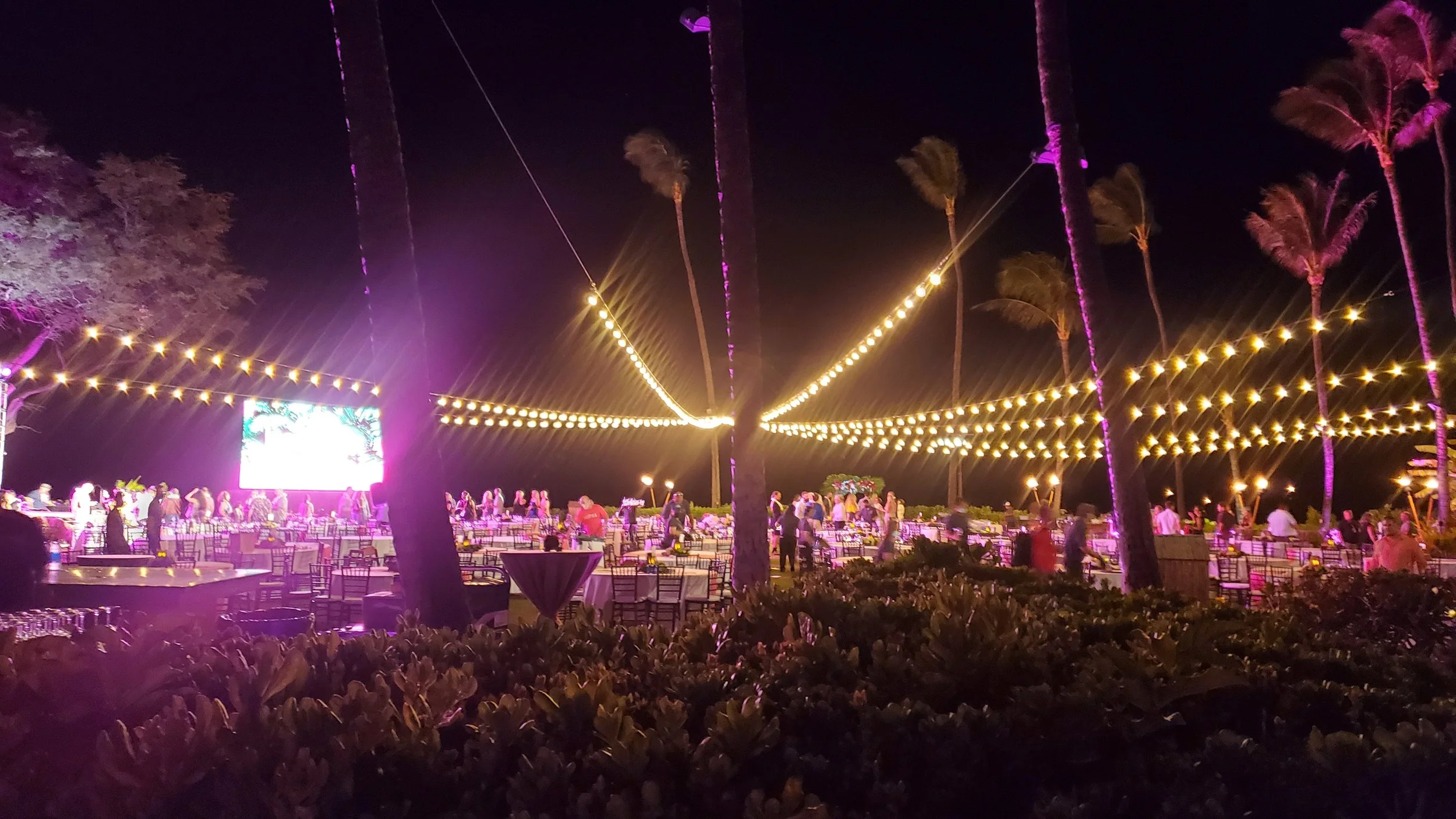 Bistro Lights
