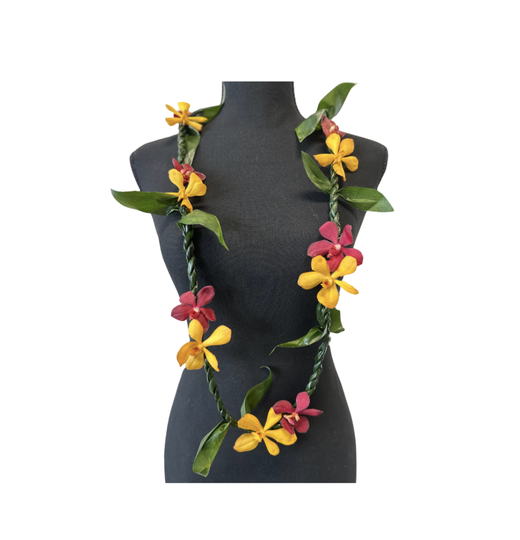 Screenshot 2025-01-10 at 2.41.20 PM.png