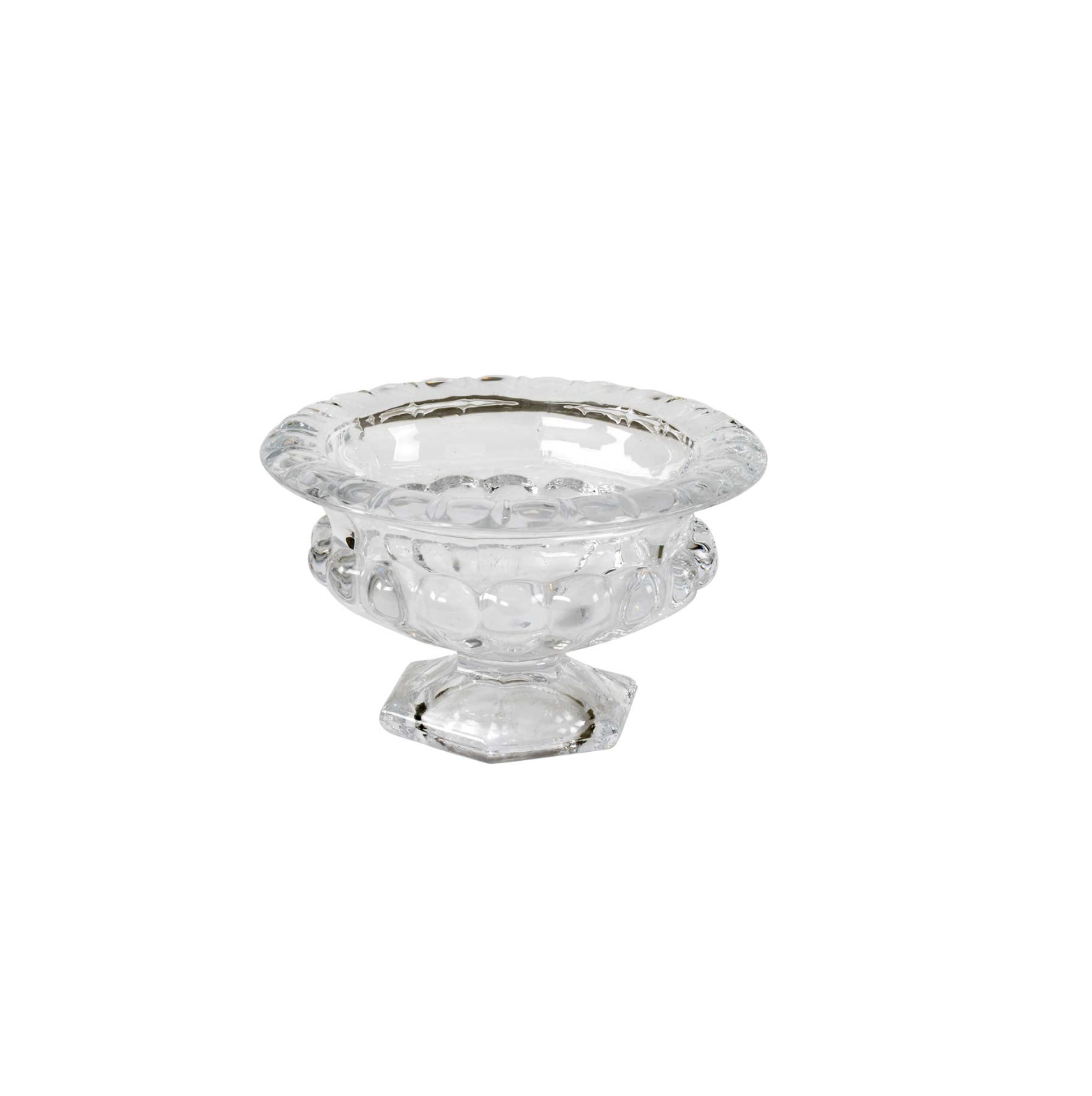 Abelia Compote
