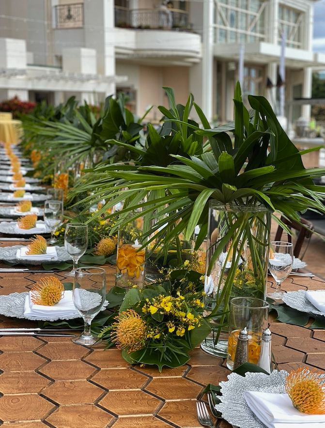 Screen Shot 2022-05-27 at 11.52.24 AM.png