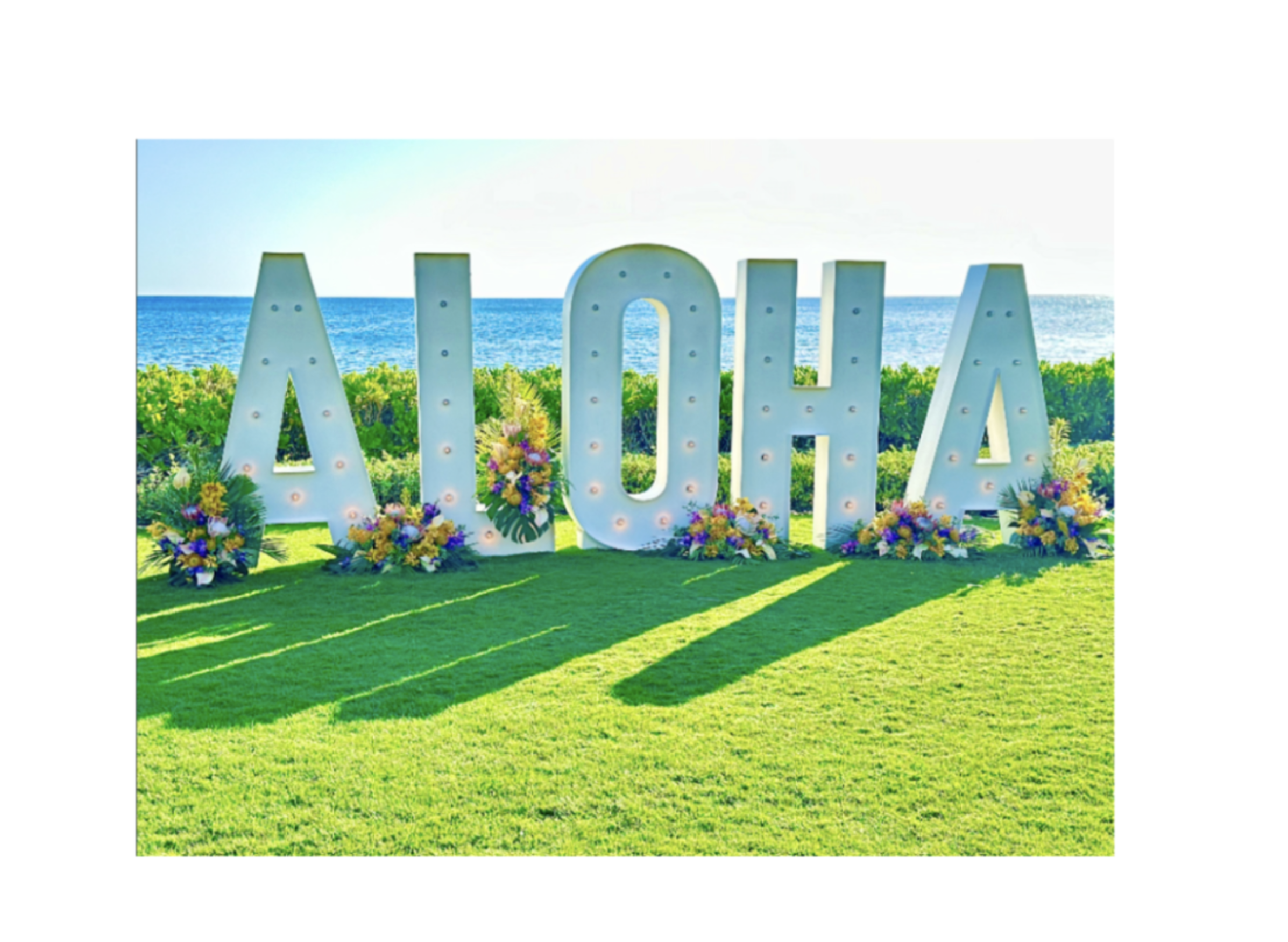 Aloha Sign