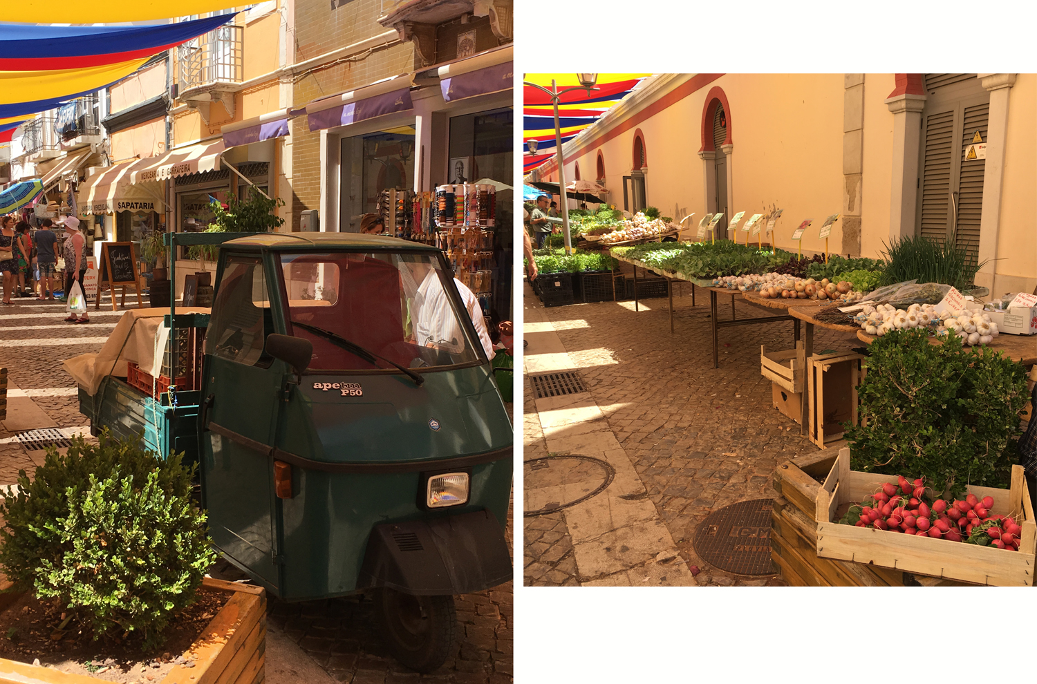 market wheels and produce .jpg