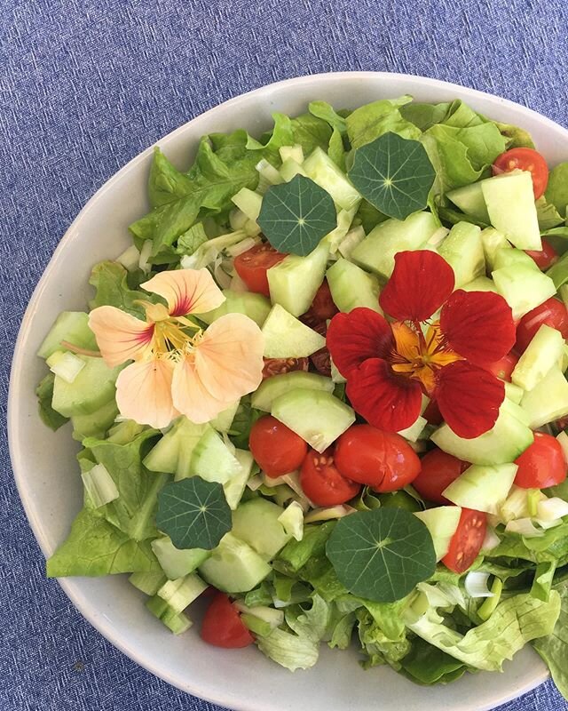 Our very first lettuce of the season together with homegrown cucumber, tomatoes and nasturtium. This is summer time 🌞at it&rsquo;s finest
