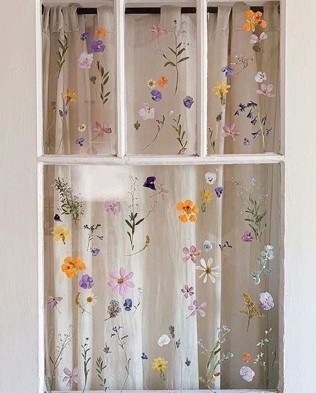 I&rsquo;m pretty certain our studio needs these at the window 🌸🌿