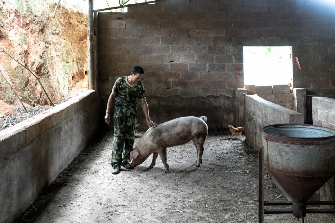 DSC01975Nanning_pig_wsj.jpg