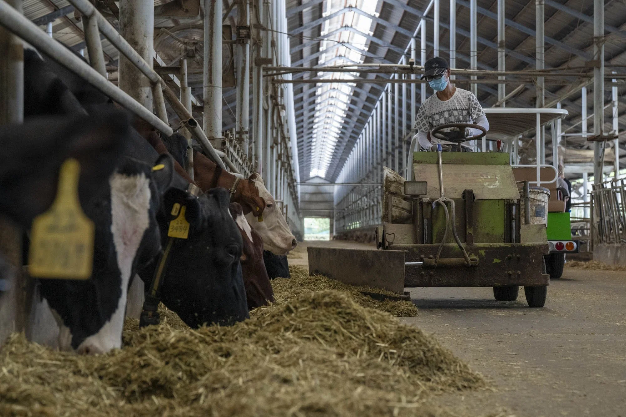 China_NestleDairy_RaulAriano_77.jpg