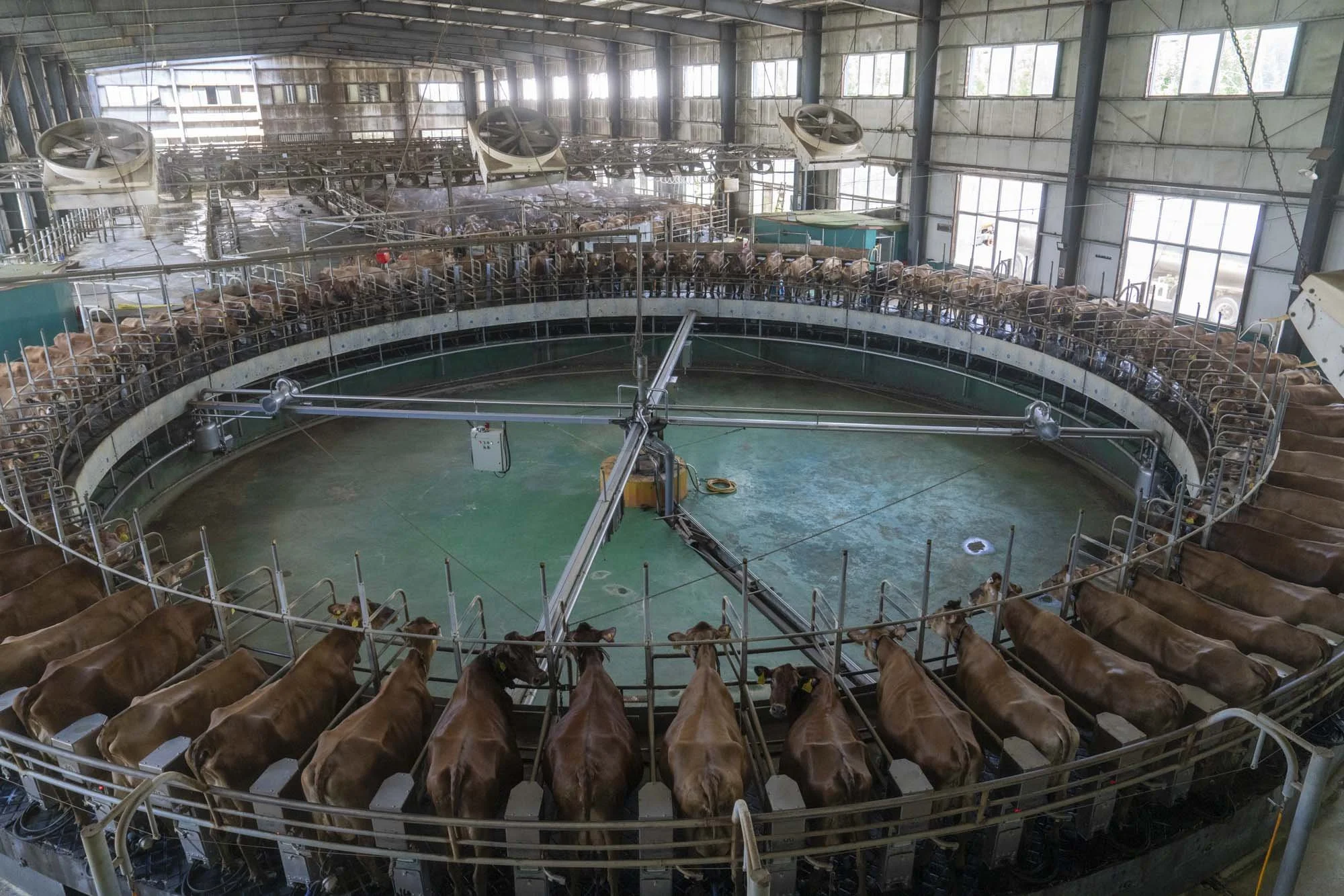 China_NestleDairy_RaulAriano_87.jpg