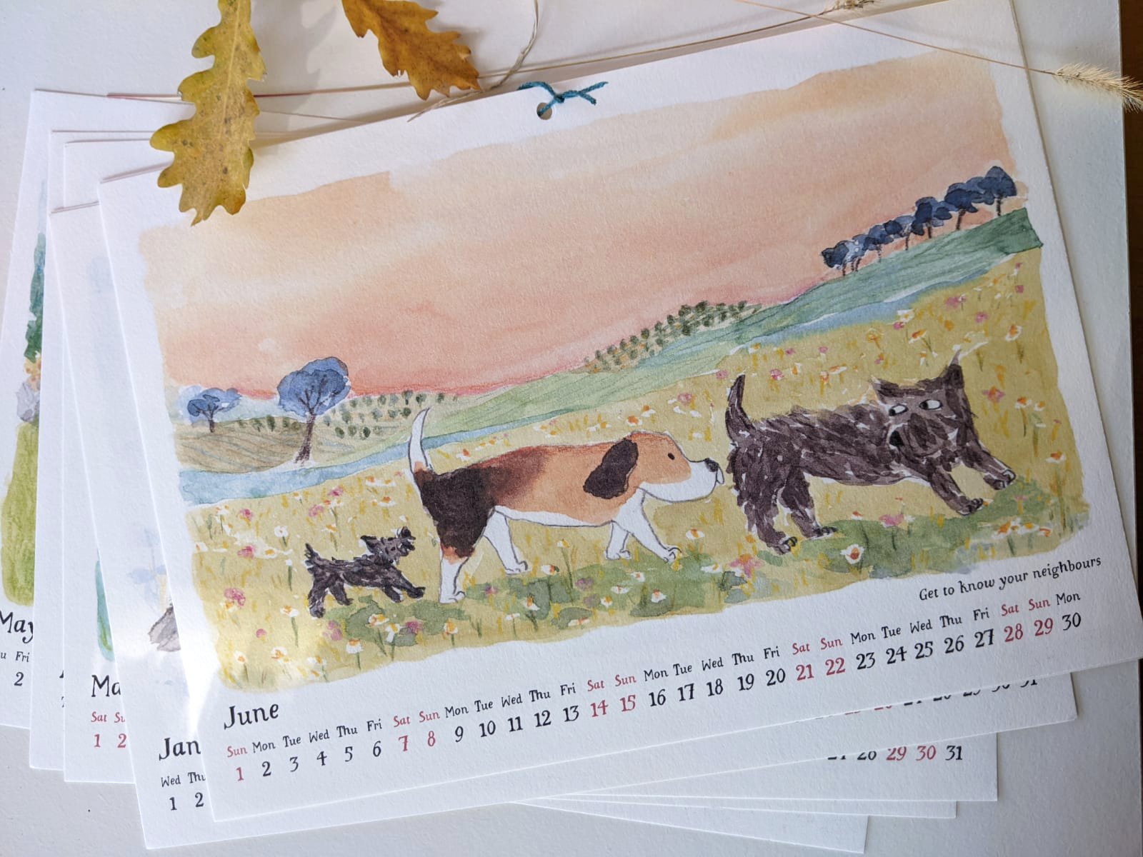 WhatsApp Image 2024-11-29 at 17.24.57 (1).jpeg