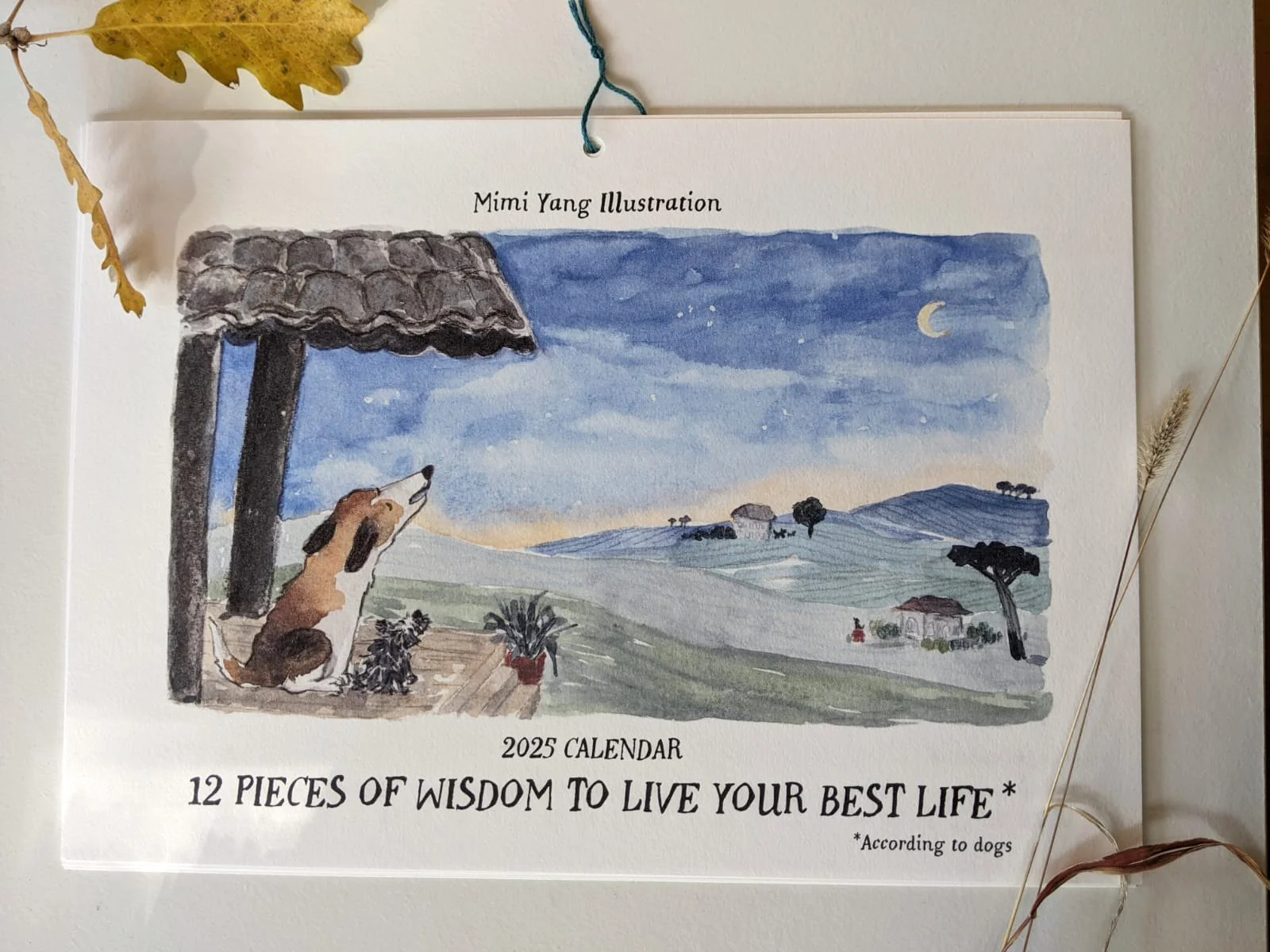 WhatsApp Image 2024-11-29 at 17.24.57 (2).jpeg