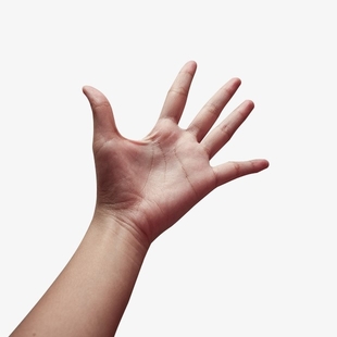 Webp.net-resizeimage.jpg