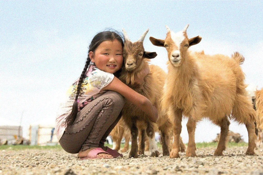 mongolia_.jpg