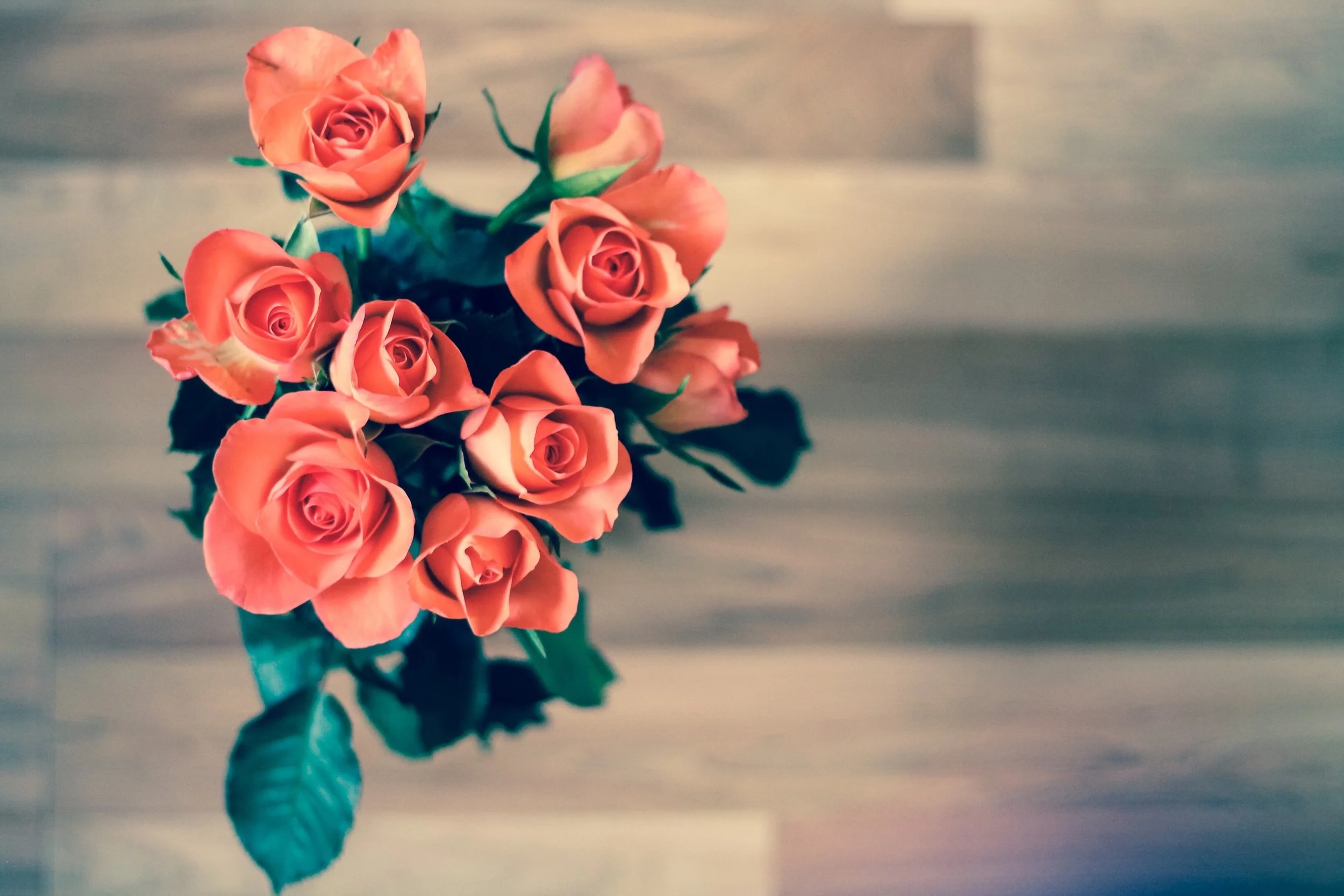 roses-690085.jpg