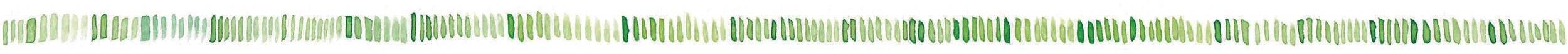 Aquarell-Graspapierbecher-Linie.jpg