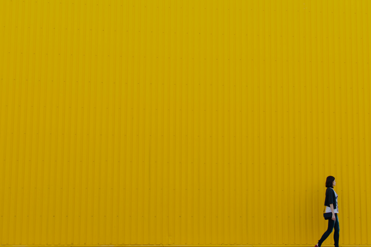 About cover.png