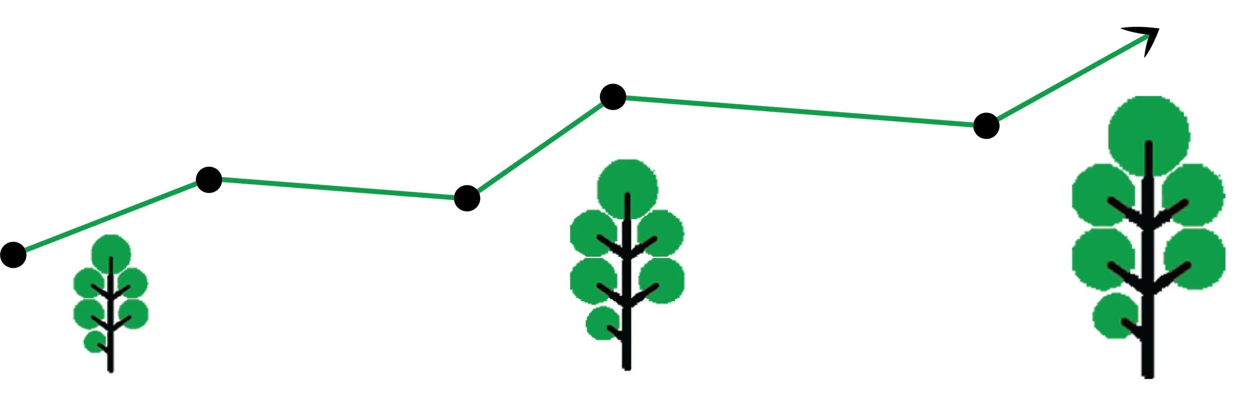 Mission our legacy redwood algorithms