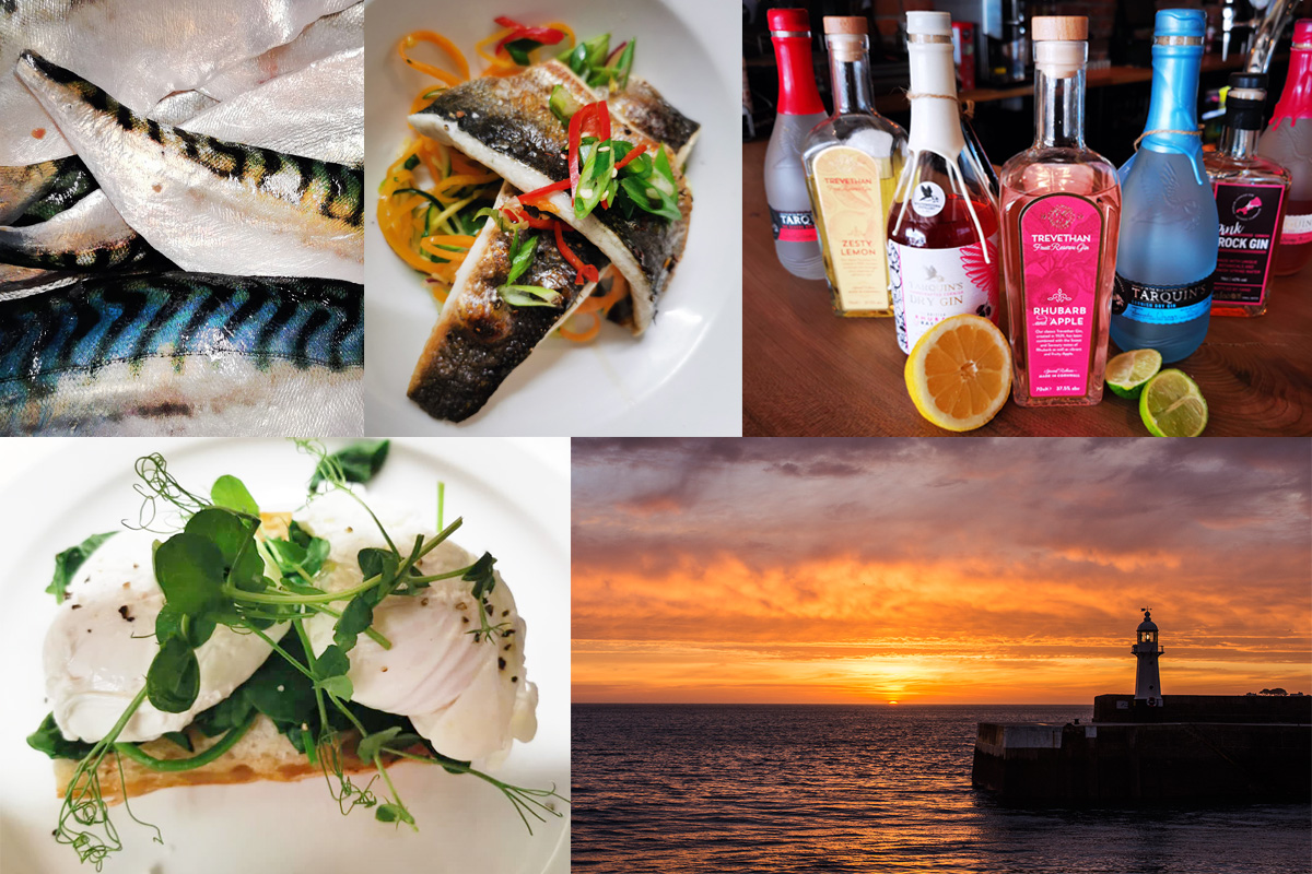 Website_Collage2.jpg