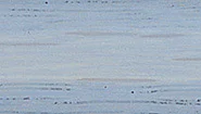 Pearl Grey - Water Based