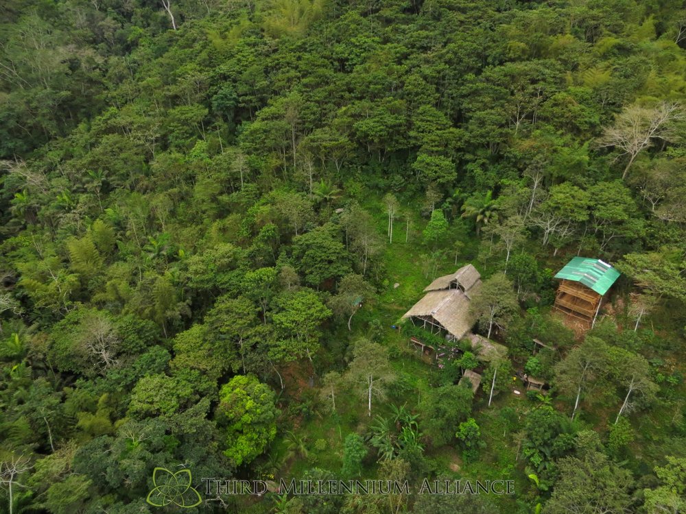 Bambu House from Drone.JPG