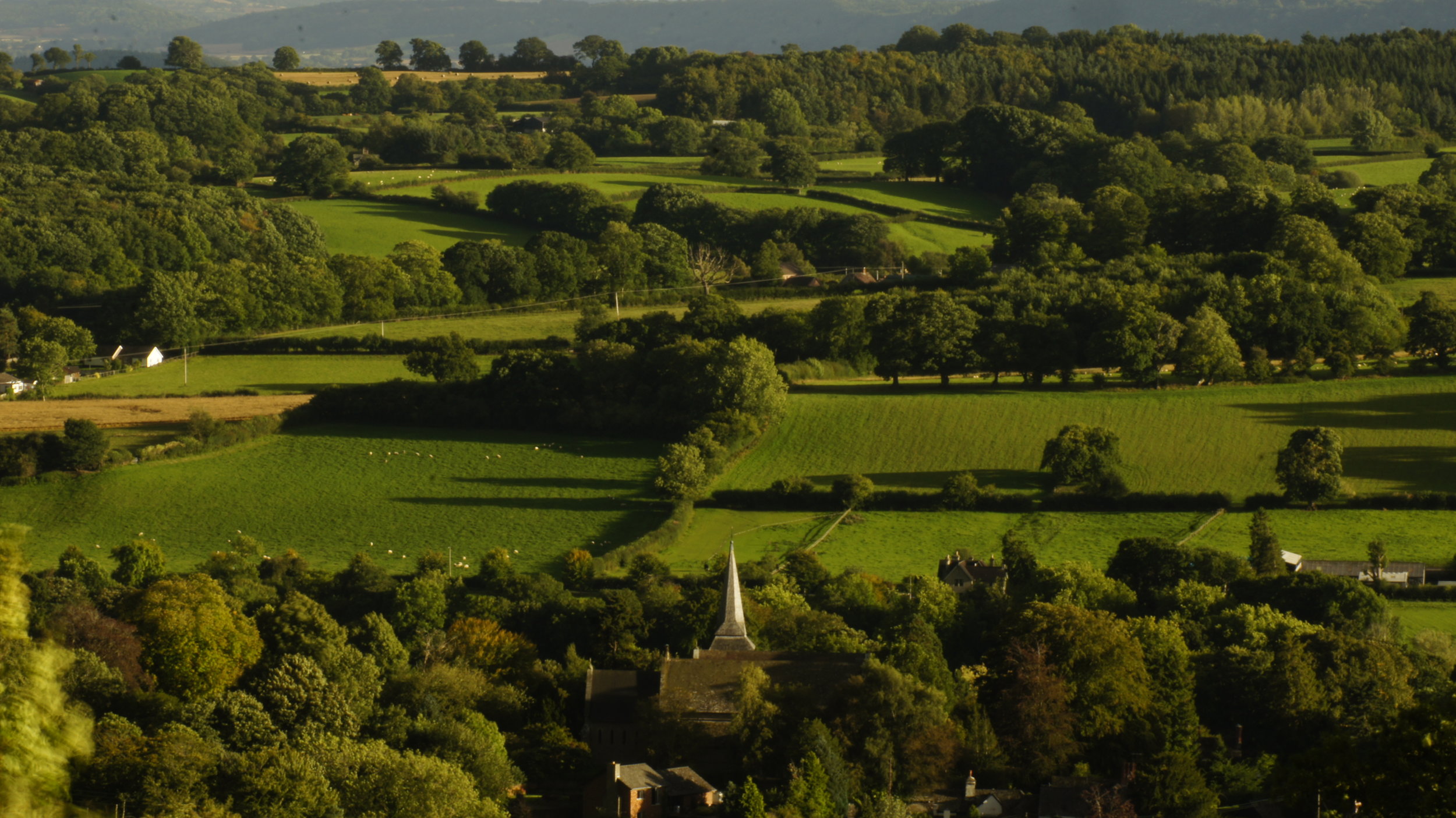 Kington St Mary's Bradnor Views 16-9-16 0248.JPG