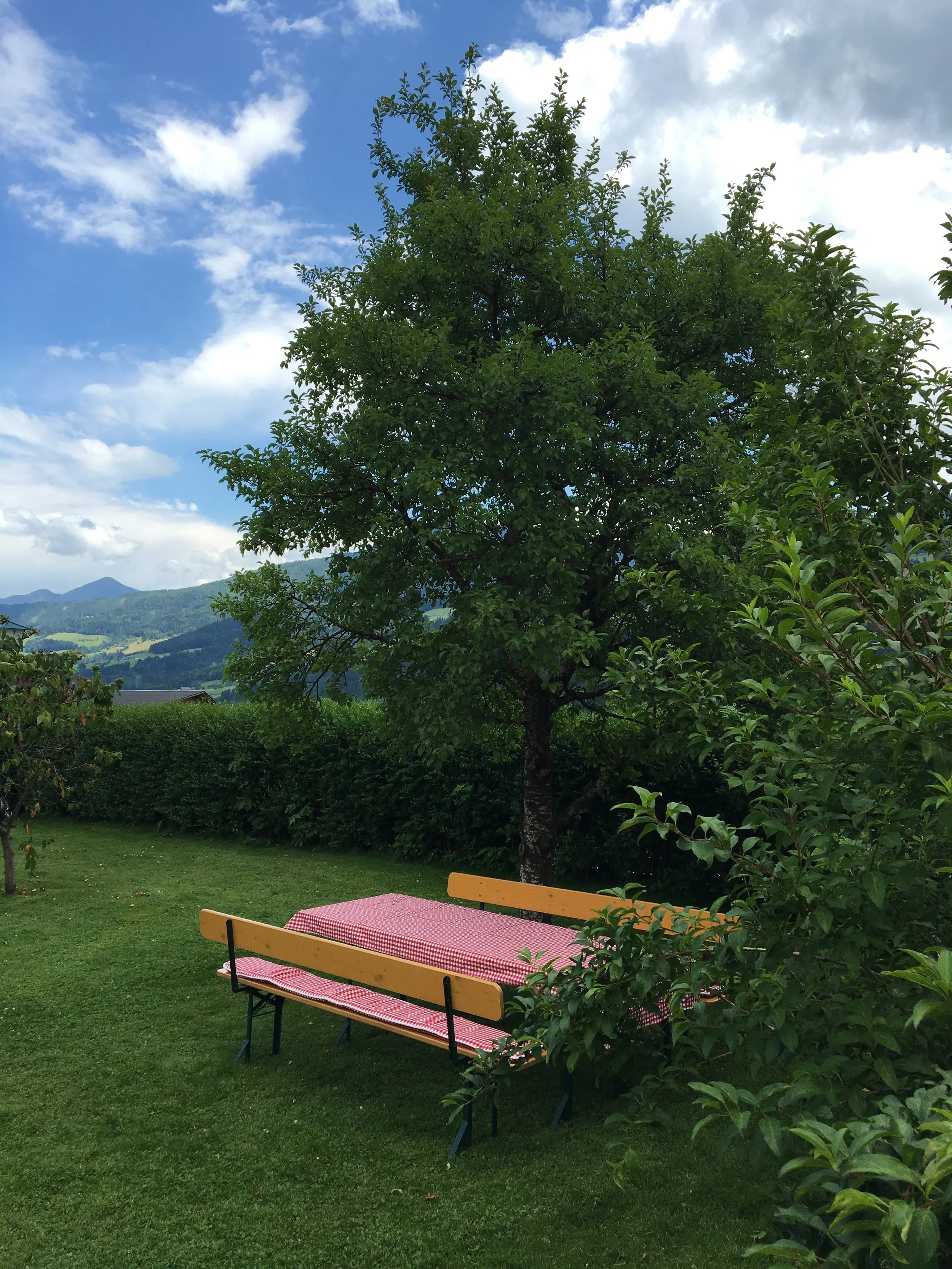 Gartennutzung/garden for your use