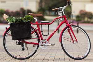 Momentum — COLONEL'S BICYCLES