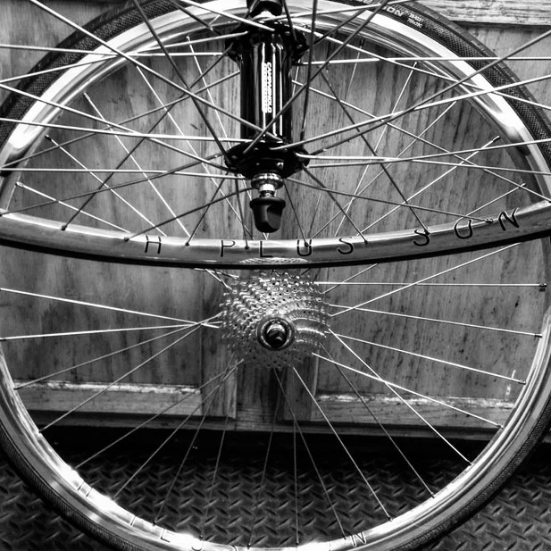 Campy Record hubs with H Plus Son polished road rims