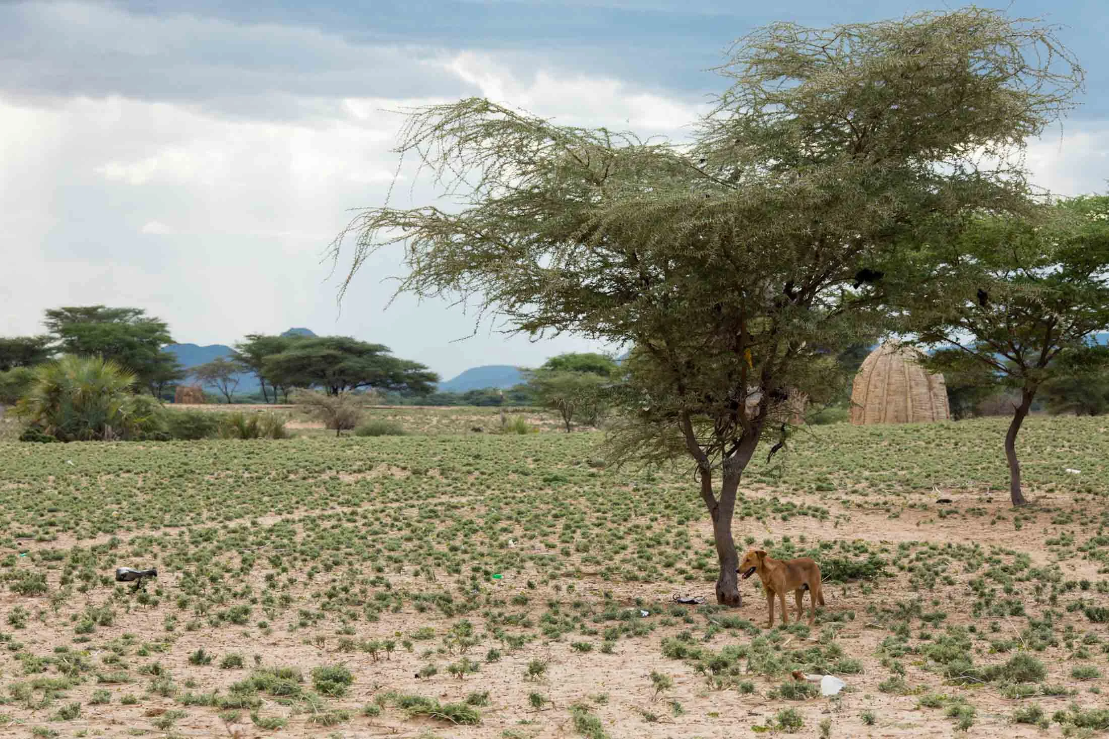 160510_SERVkenya_2059.jpg