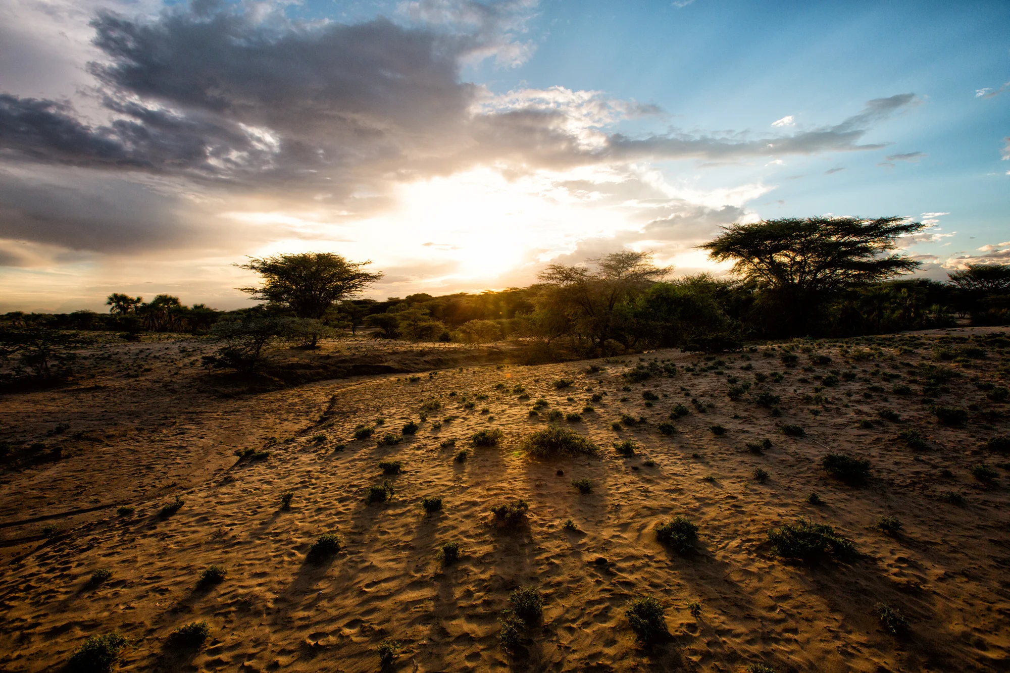 160510_SERVkenya_2489.jpg