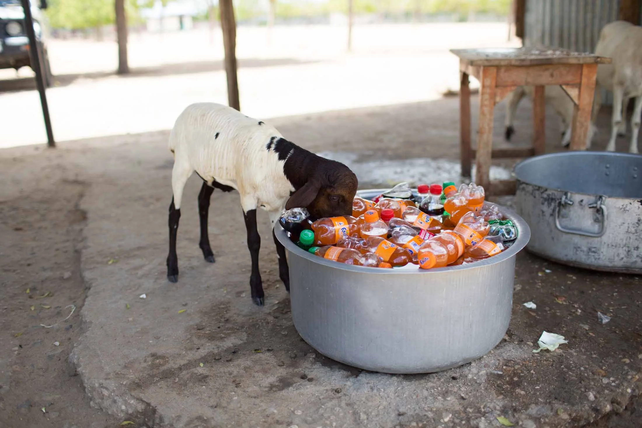 160513_SERVkenya_221.jpg