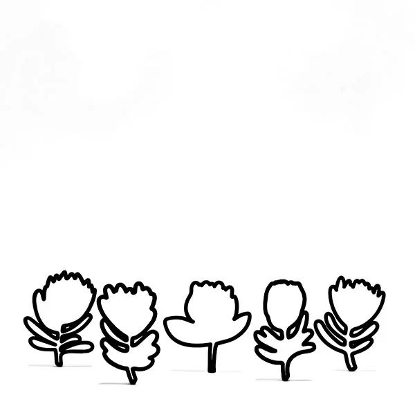 Protea flowers Cookie Cutter set