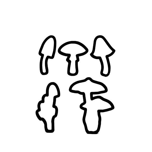 Woodland Mushrooms 2 Cookie Cutter Set 