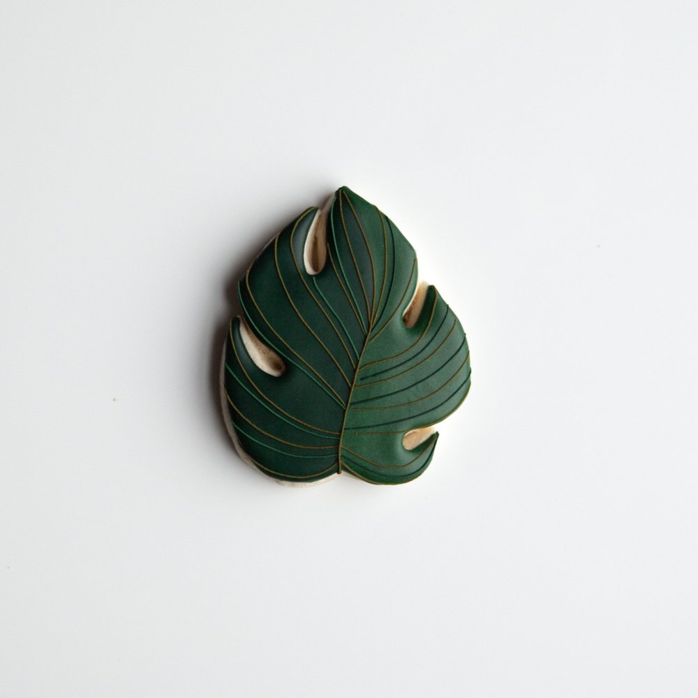 monstera deliciosa hydroculture Monstera 'Deliciosa' – ECOVIBE