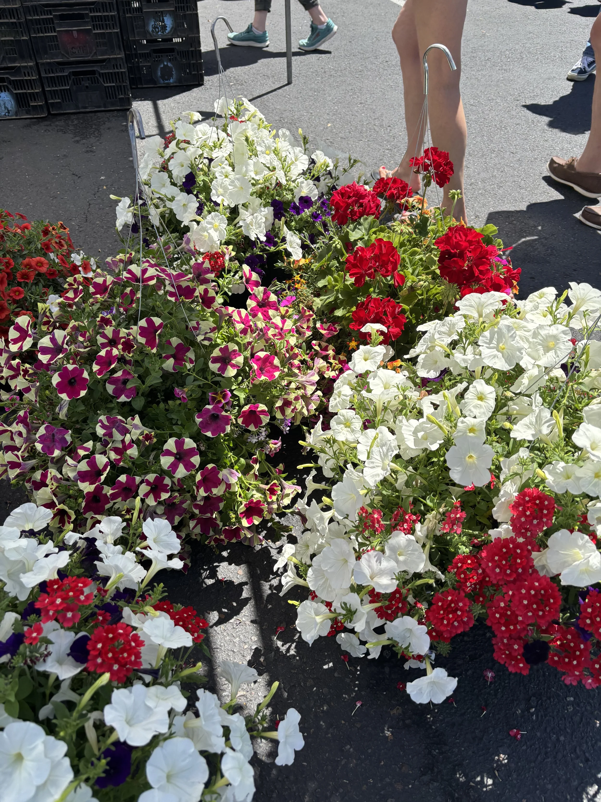 IMG_4401.jpeg