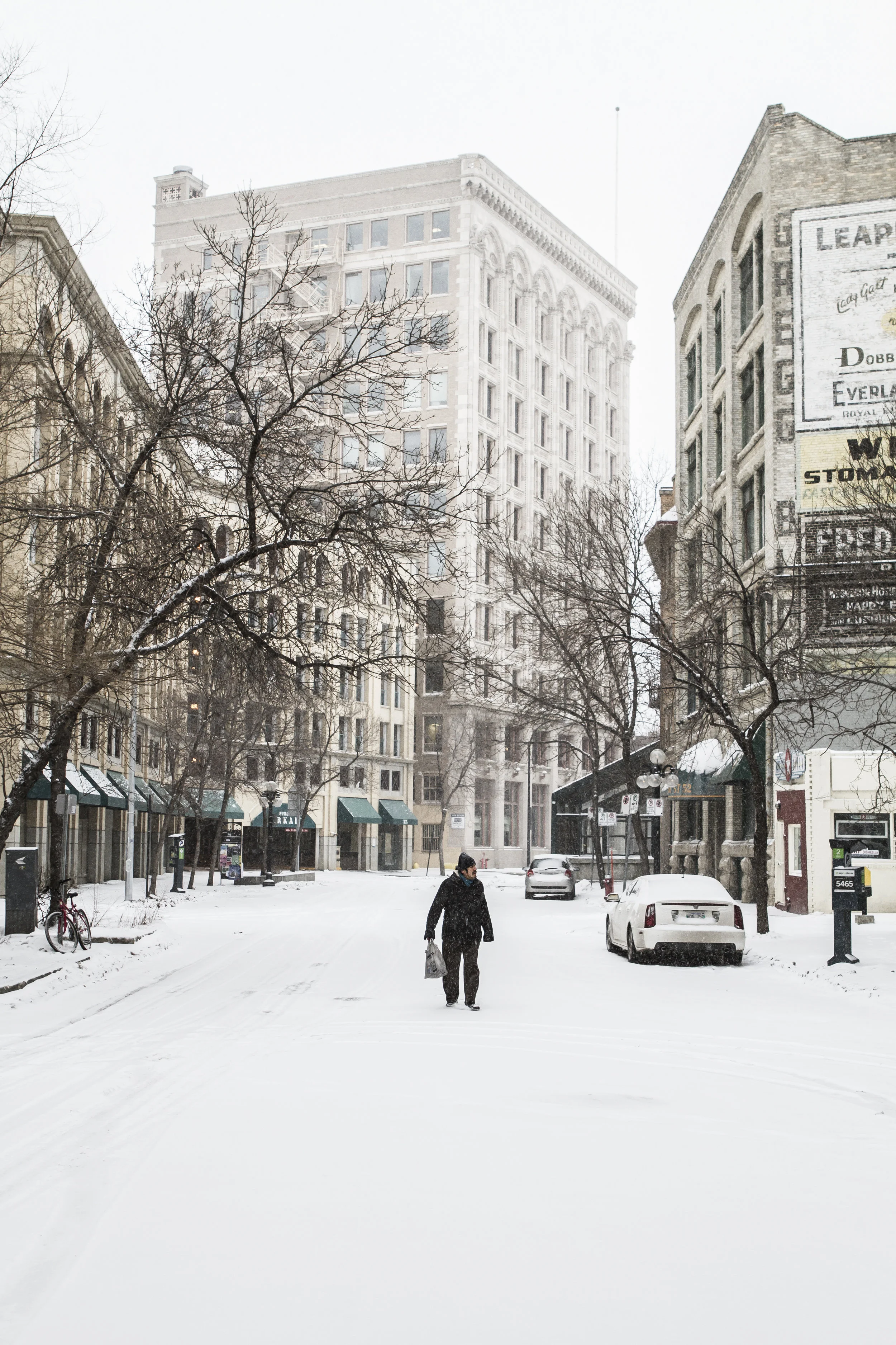 winterwalking1.jpg