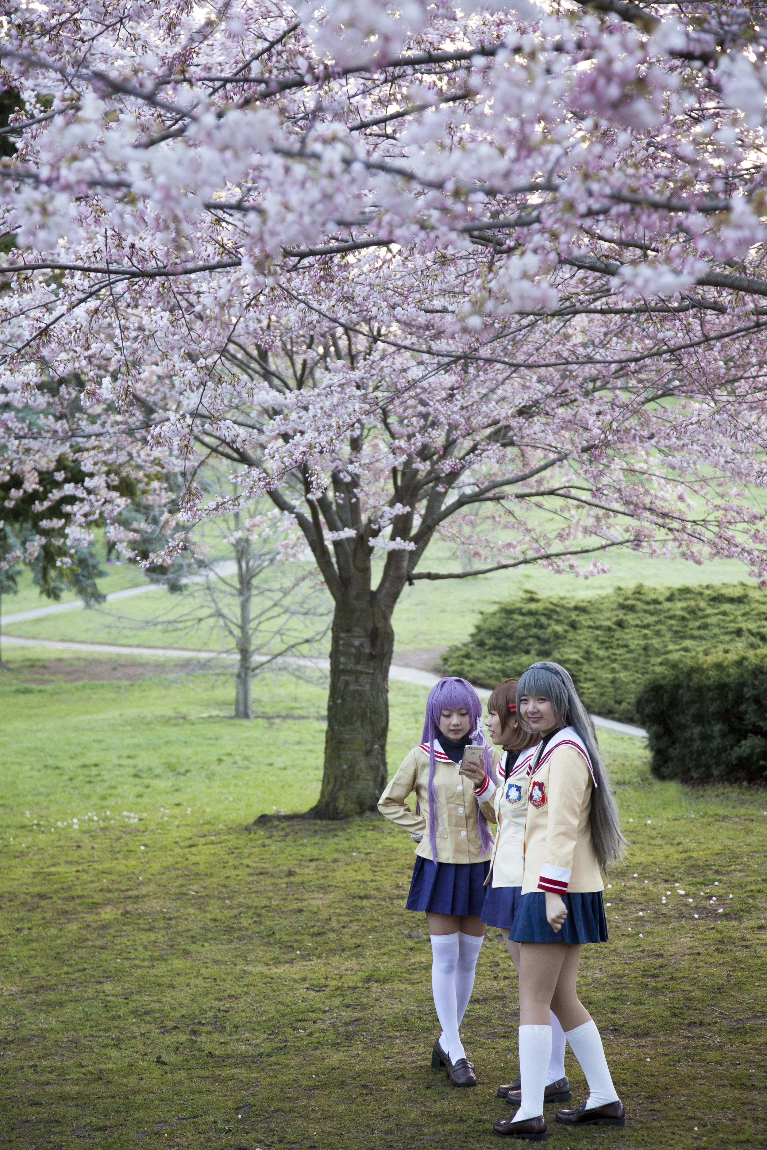High Park Shojo