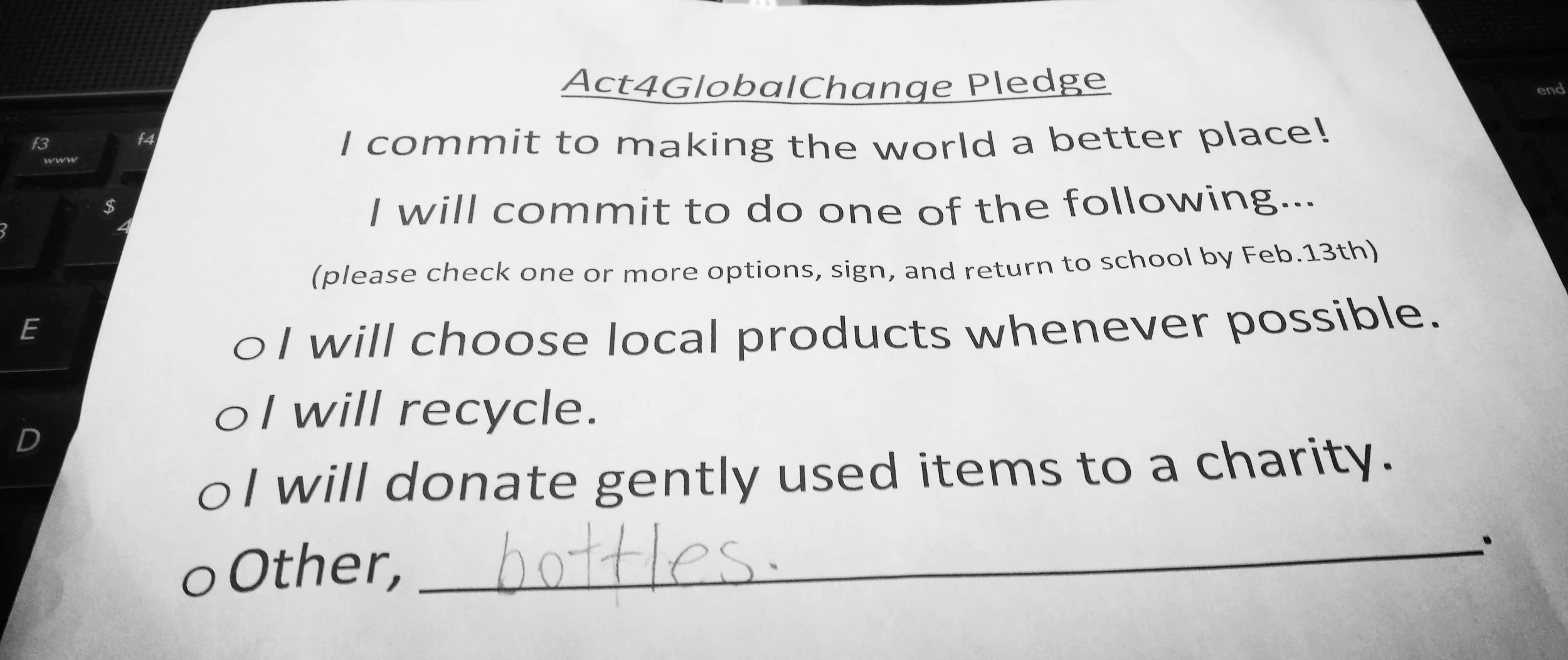 We decided to make a commitment to being active global citizens by pledging to make the world a better place. Each student took home a pledge sheet and decided with their family what commitment they would like to make to change the world. Their options included; choosing local products, recycling, and donating used clothing/items. The grade four class then collected and counted the pledge sheets for the school. This is a great activity that empowers our students to think of small things they can do to make a big difference in the world.