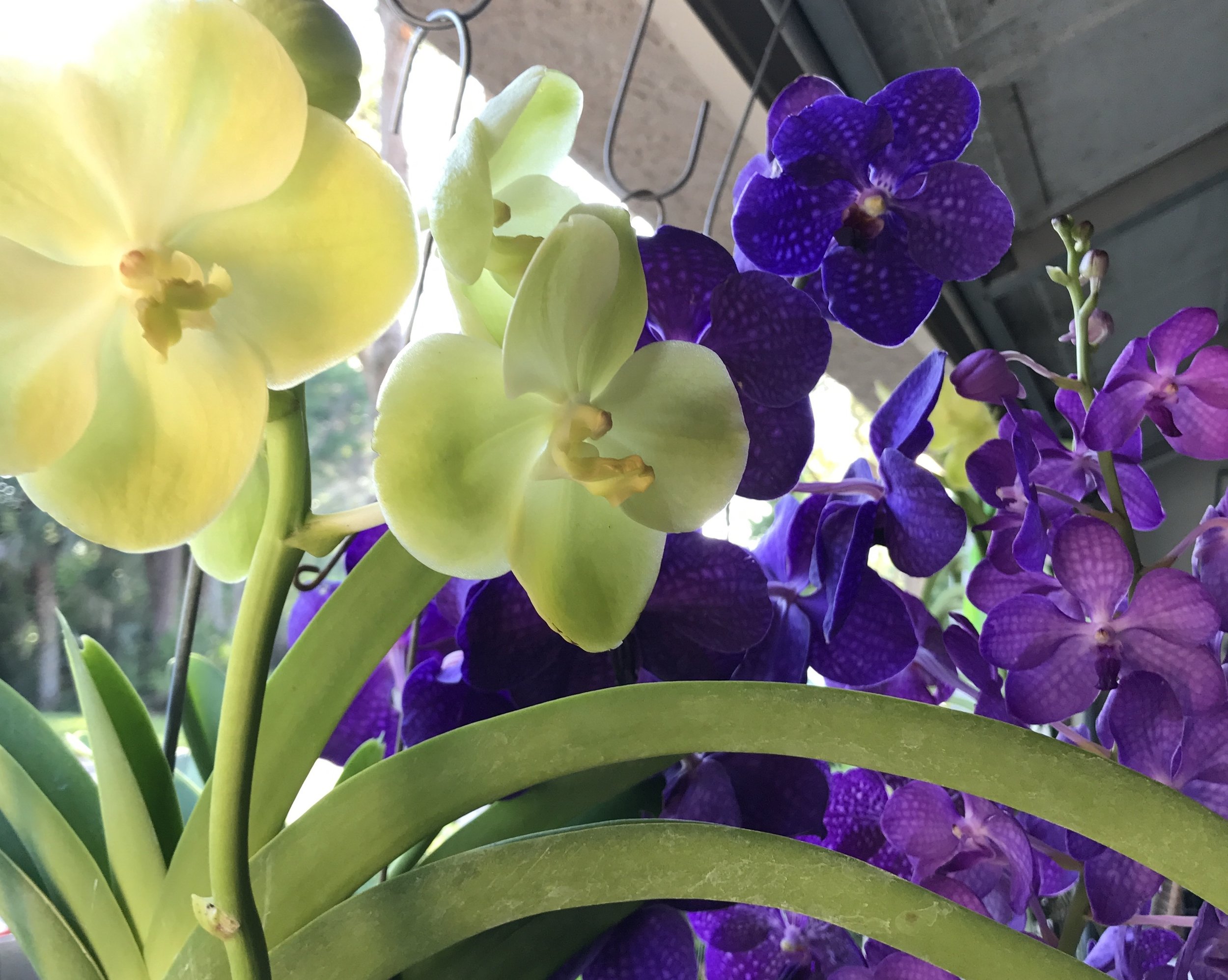 website-home-FMheader.jpg