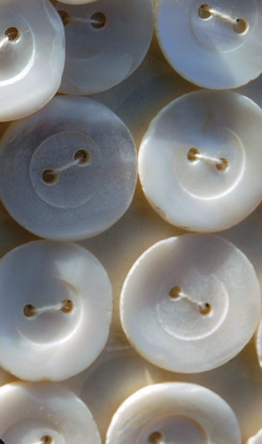 Shell Buttons