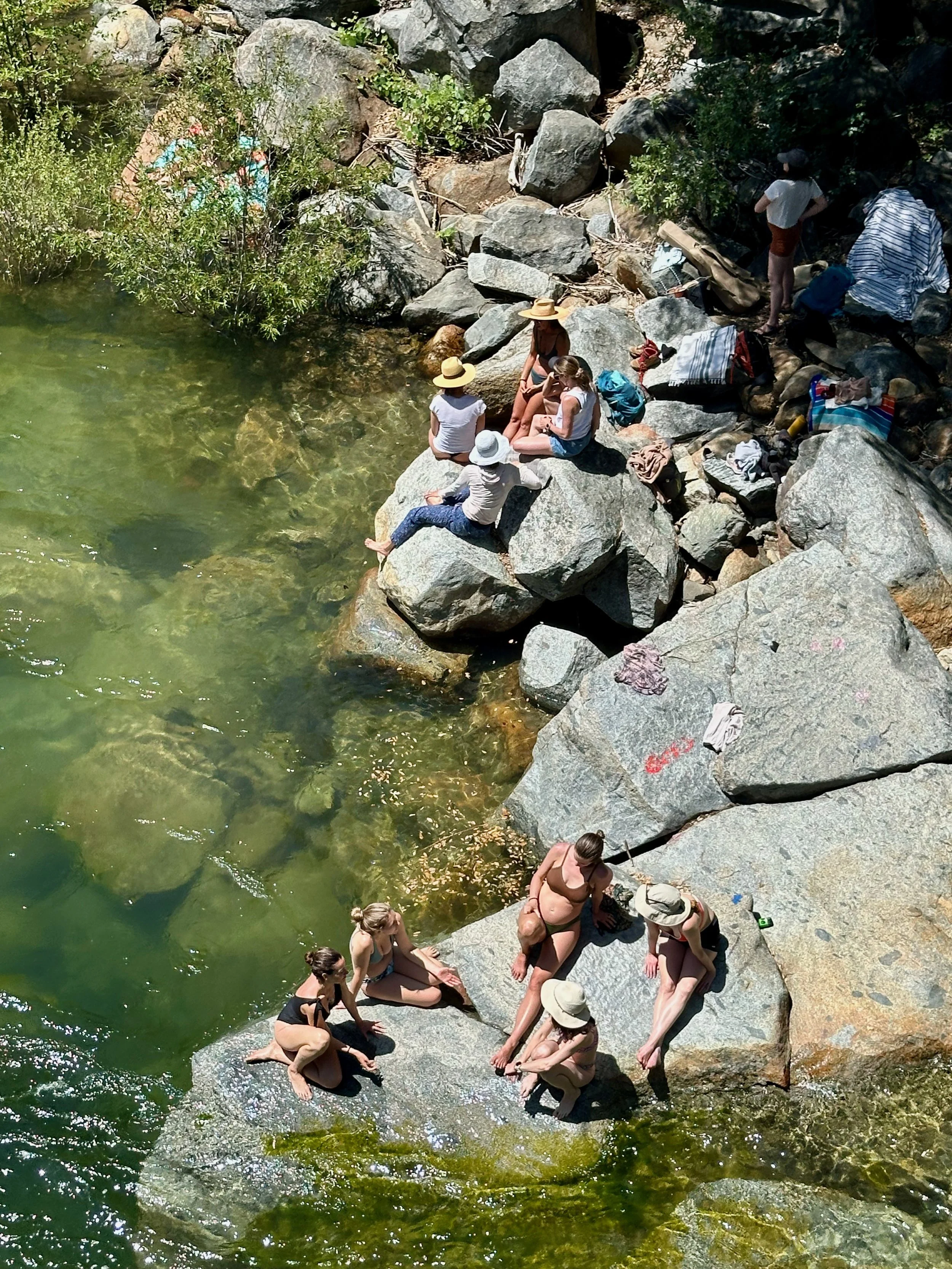 July 12, 2025: Hello 🌻