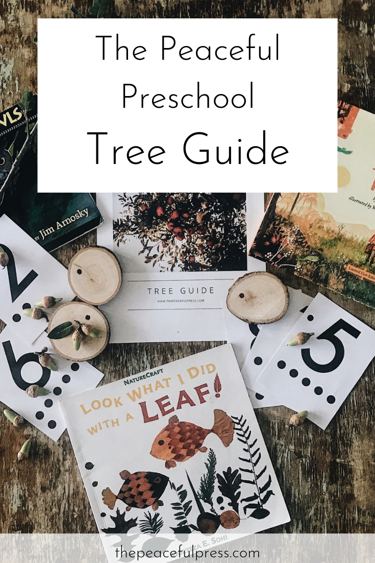 Fall is coming, and we are excited about the opportunity to explore the changing face of the forests around us. We wanted to share with you a few fun ideas for exploring the world of trees. You can purchase our Tree Guide for a whole month of literature and project based activities for learning with your preschool and kindergarten students. These units can even be adapted to older children by simply omitting the counting or phonics activities.