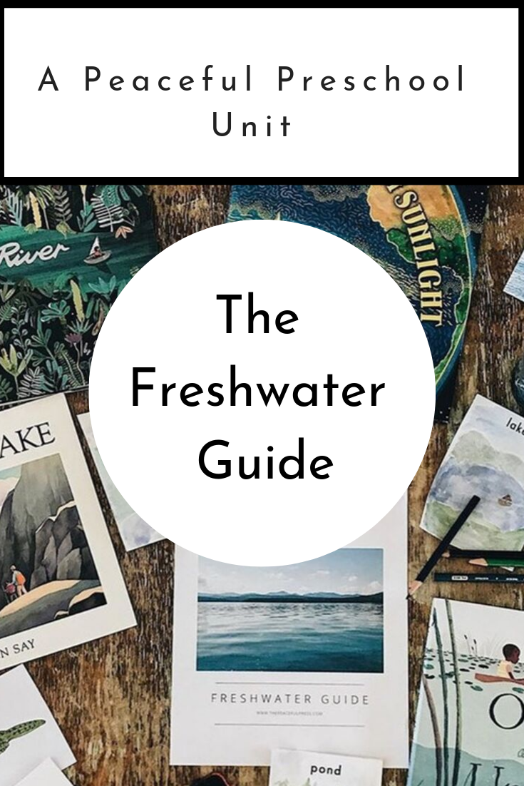 The Peaceful Preschool: Freshwater Guide includes four weekly grids with activities to continue the work began in The Peaceful Preschool. Your 3-5 year old child will continue developing large and fine motor skills, phonics and counting skills, and their love for literature through the stories and projects included in The Peaceful Preschool: Freshwater Guide.