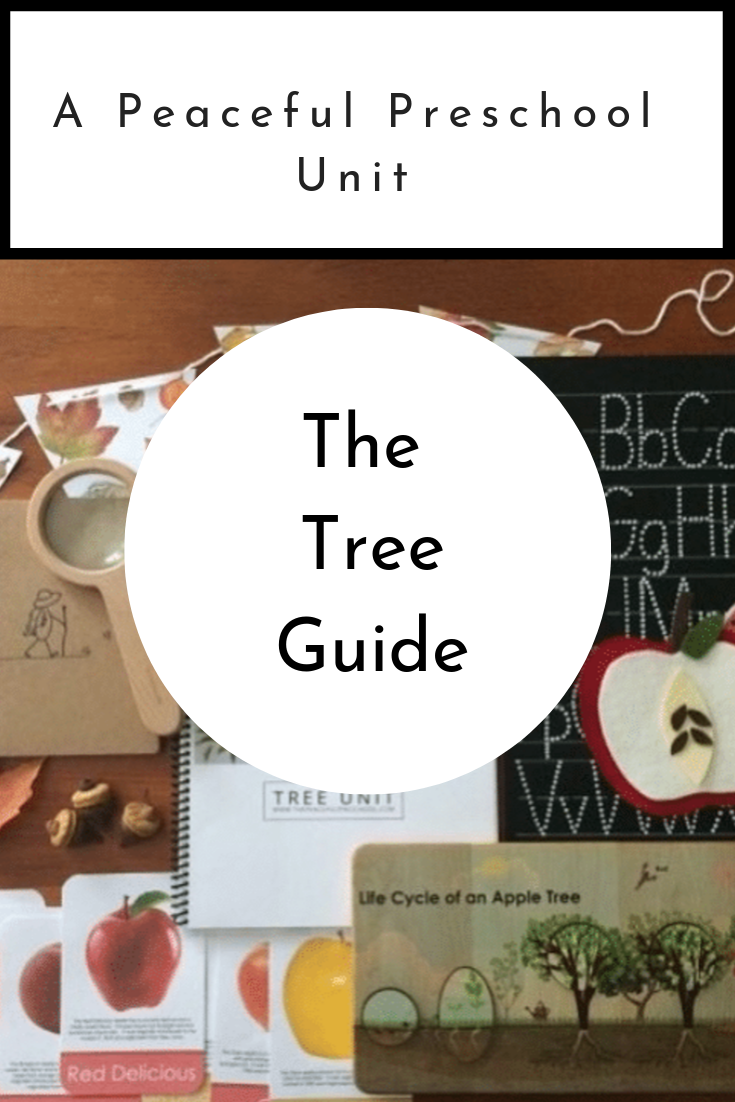 The Peaceful Preschool: Tree Guide includes four weekly grids with activities to continue the work began in The Peaceful Preschool. Your 3-5 year old child will continue developing large and fine motor skills, phonics and counting skills, and their love for literature through the stories and projects included in The Peaceful Preschool: Tree Guide.