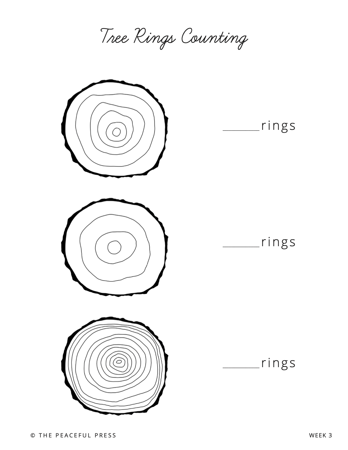 Tree Ring Exploration Handout