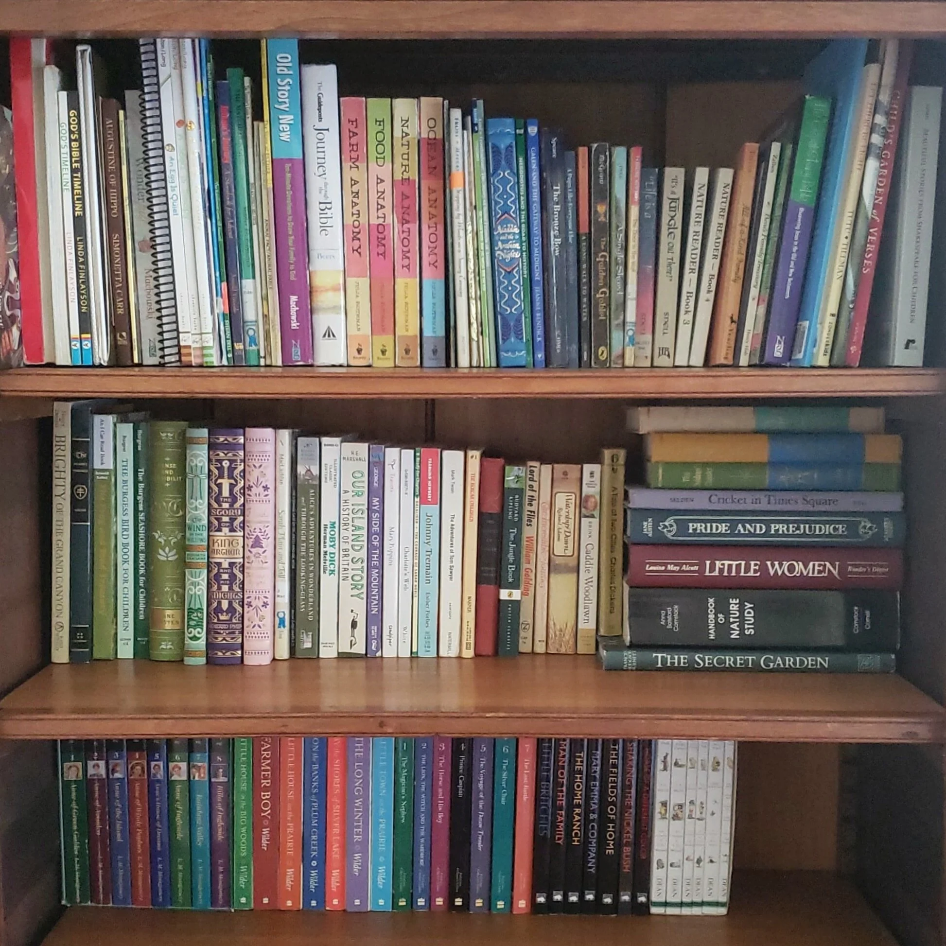 Curating a Home Library — THE PEACEFUL PRESS