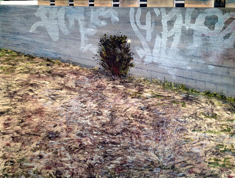 Empty Lot with Rose Bush and Wall
