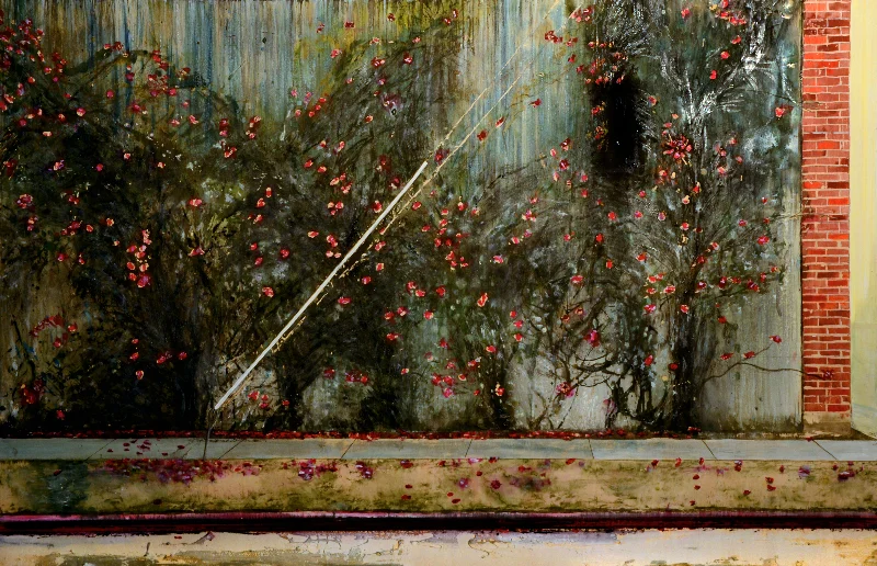 Black Window and Bougainvillea with Cable Guard