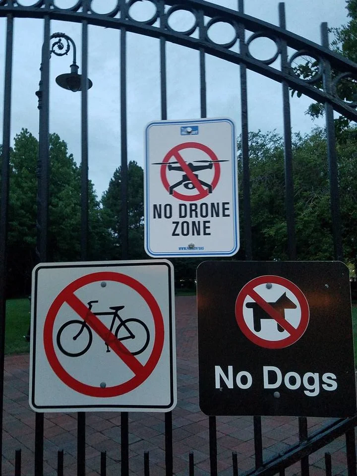 do drones.jpg