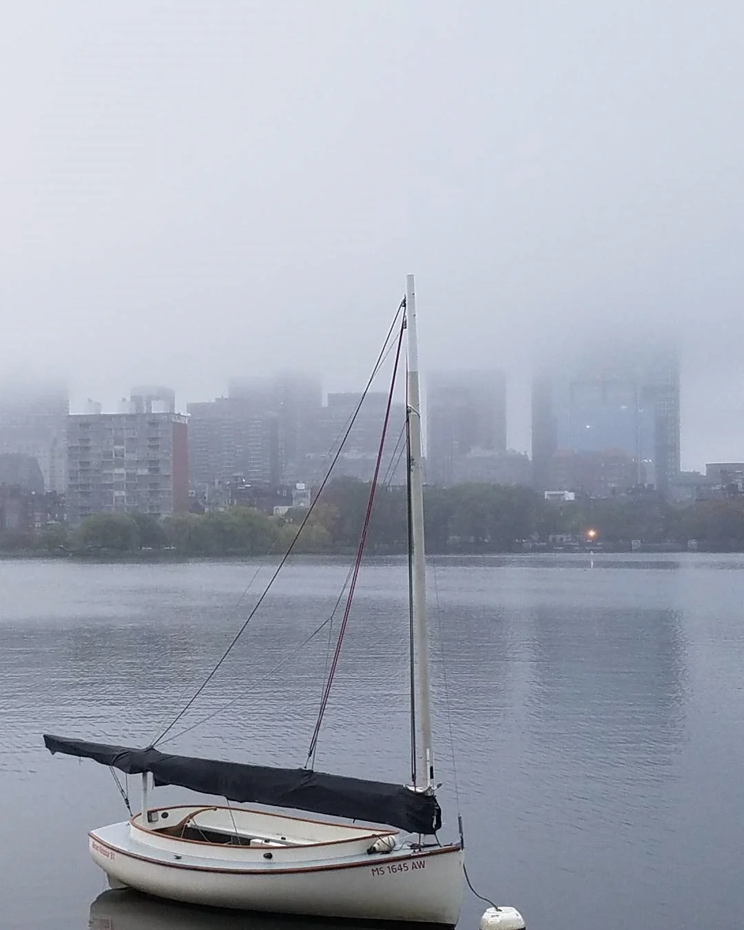 oct_22_foggy.jpg