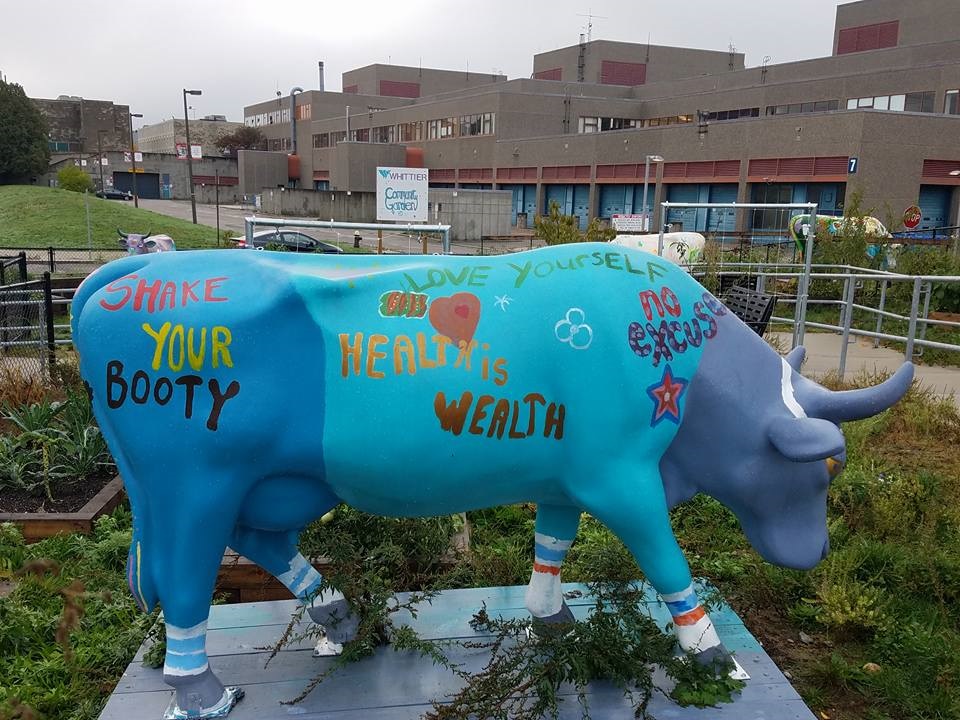 oct_22_cow.jpg